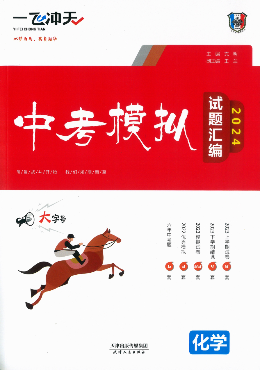 2024版 一飞冲天中考模拟试题汇编 化学.pdf 第 1 页
